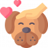 dog-training.png dog-training.png