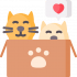 kitten.png kitten.png